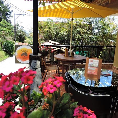 Pensjonat Oak Tree House Guatapé Zewnętrze zdjęcie