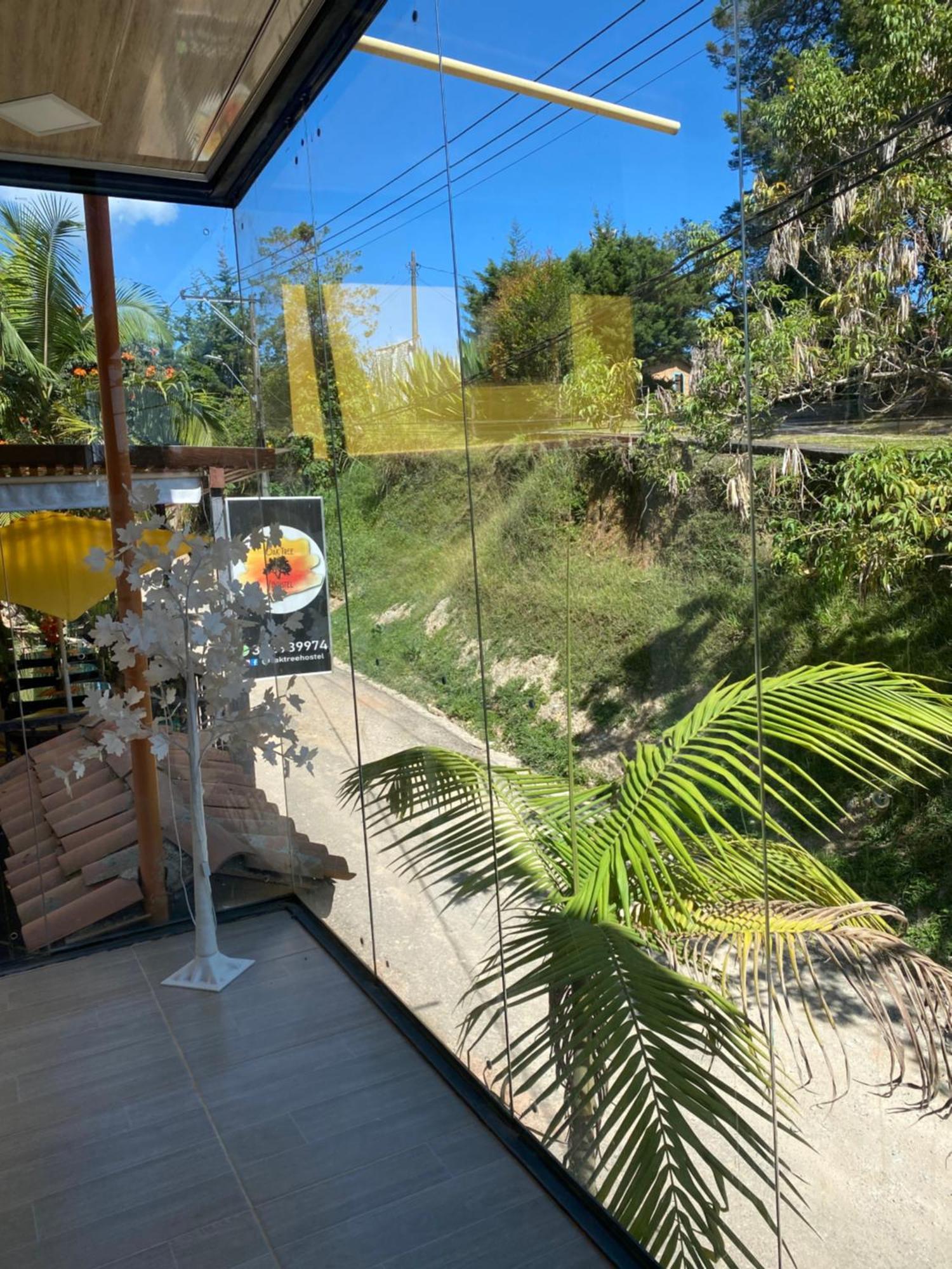 Pensjonat Oak Tree House Guatapé Zewnętrze zdjęcie